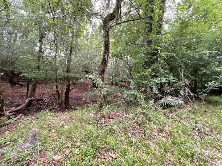 Property Photo:  4744 Abbeville Hwy  GA 31077 