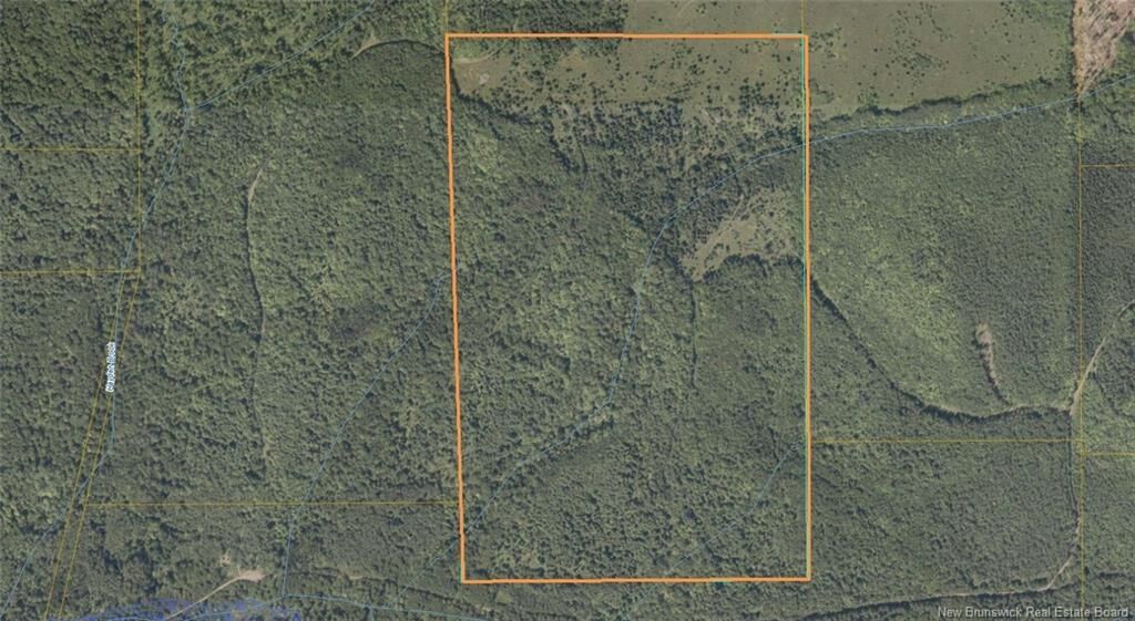 Property Photo:  0 Howard Brook Road  NB E7P 2B3 