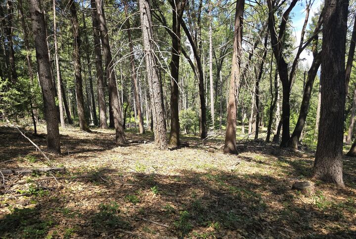 Property Photo: 14599 Tumbling Creek CA 95959