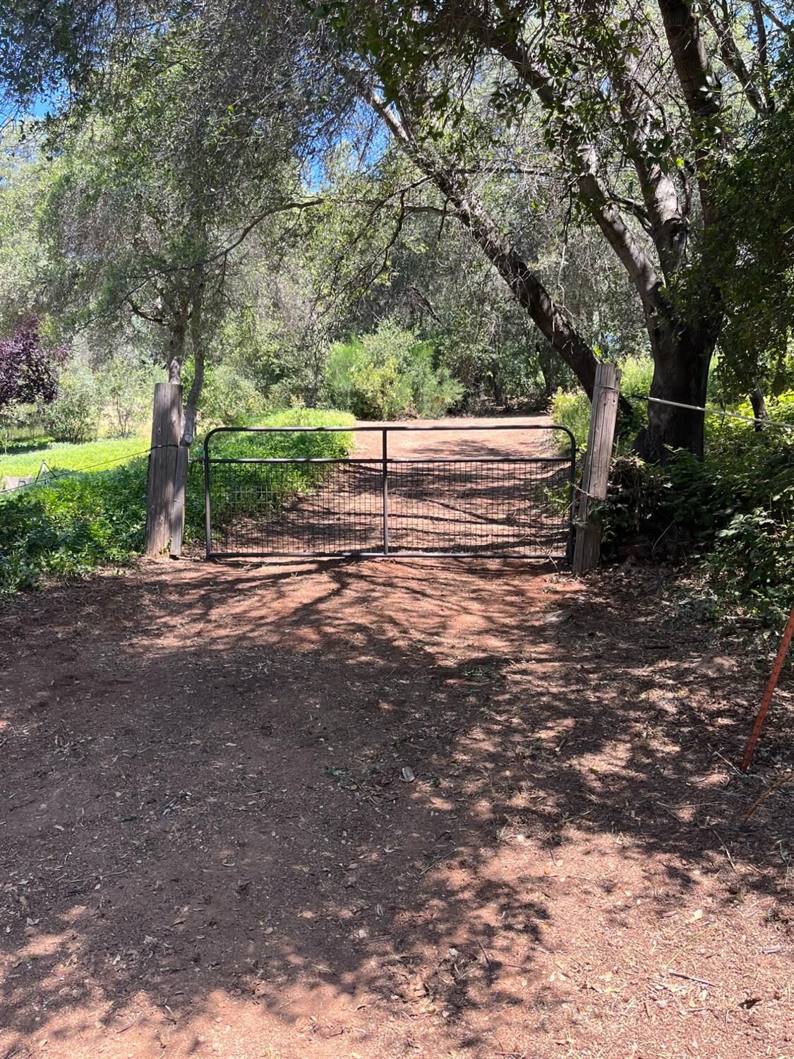 Property Photo:  202 Mulberry Lane  CA 95603 