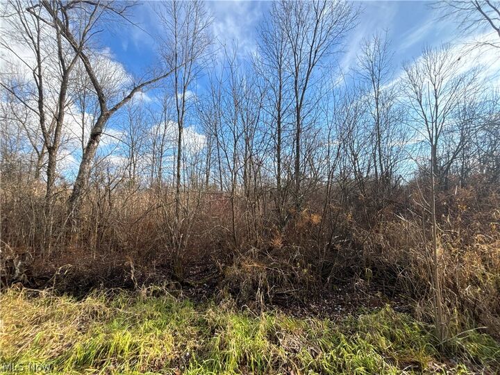 Property Photo:  10785 Bell Road  OH 44065 