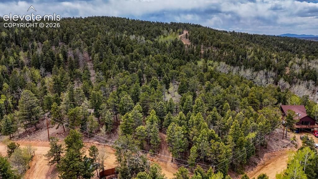 Property Photo: 259 Potlatch Trail CO 80863