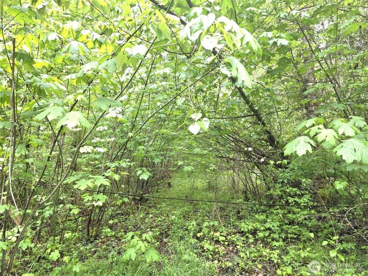 Property Photo: 36610 48th Avenue S WA 98580