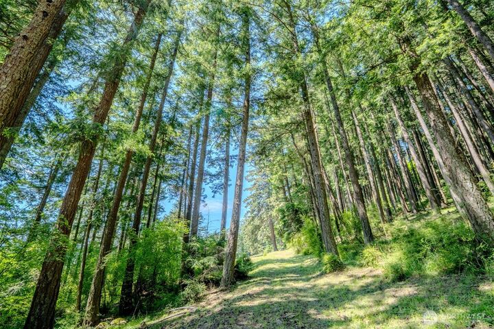 Property Photo: 521 Vusario Lane WA 98245