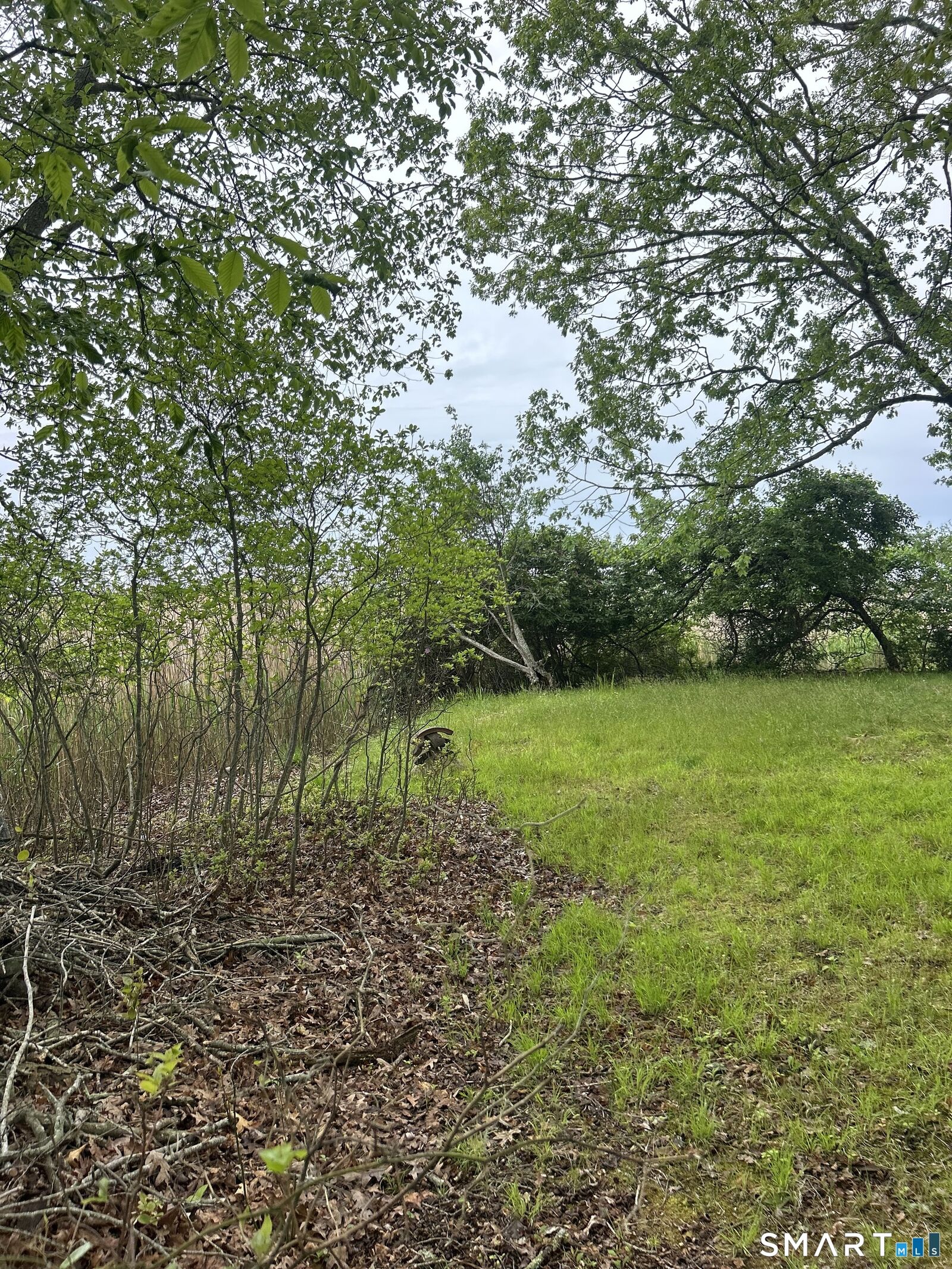 Property Photo:  55 Woodland Drive  CT 06475 