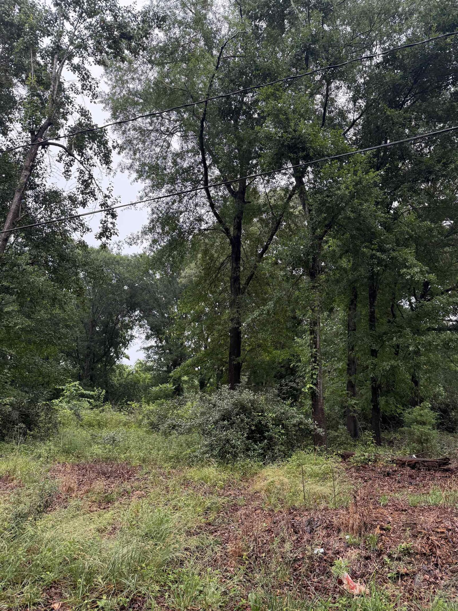 Property Photo: Merle Drive *** SC 29307