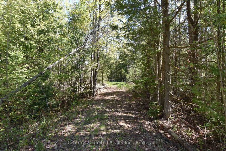 Property Photo:  2682 N Steenburg Lake Road  ON K0L 1P0 