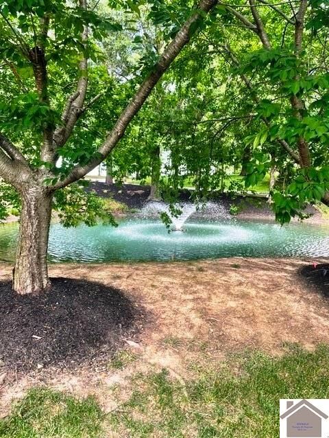 Property Photo: 245 Hidden Valley Dr KY 42003