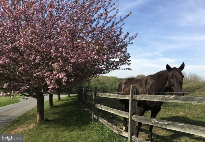 Property Photo:  592 W Creek Road  PA 19382 