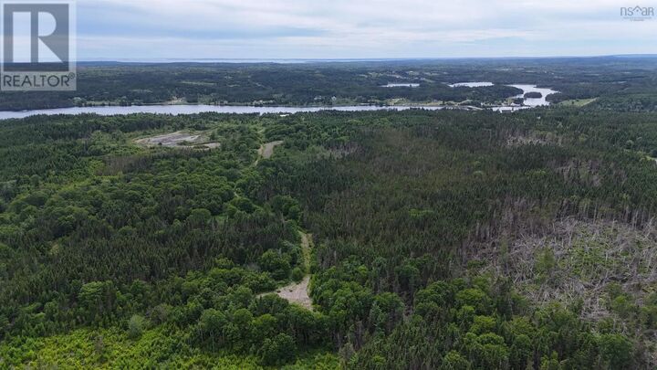 East Side Grand River Road — photo 1