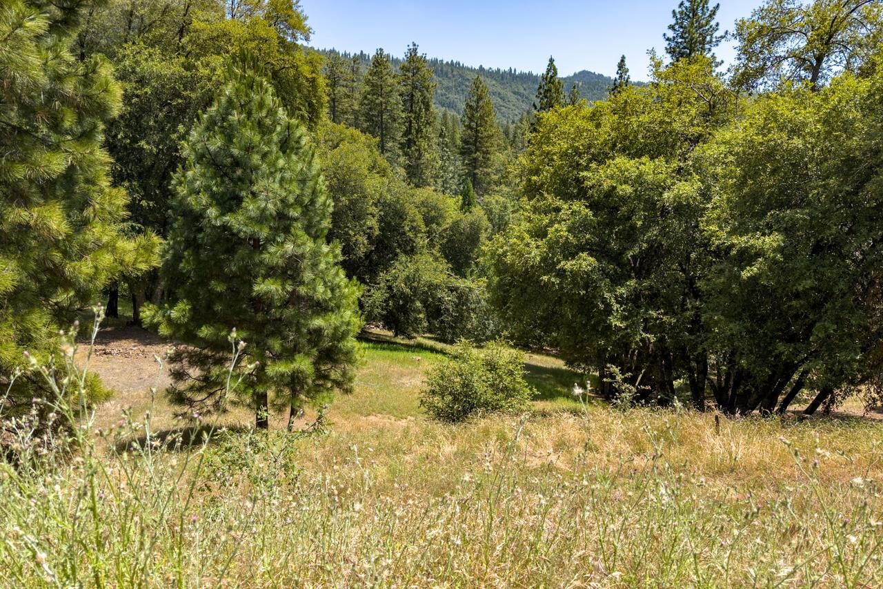 Property Photo: 2397 Parmabelle CA 95338