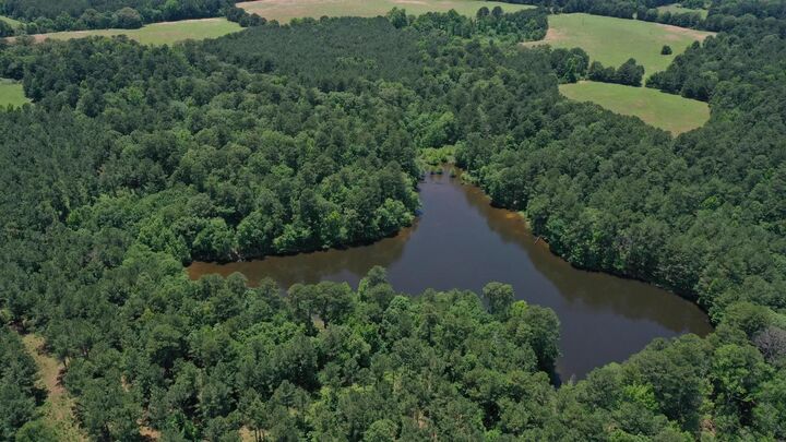 Property Photo:  295 County Road 2462  TX 75560 