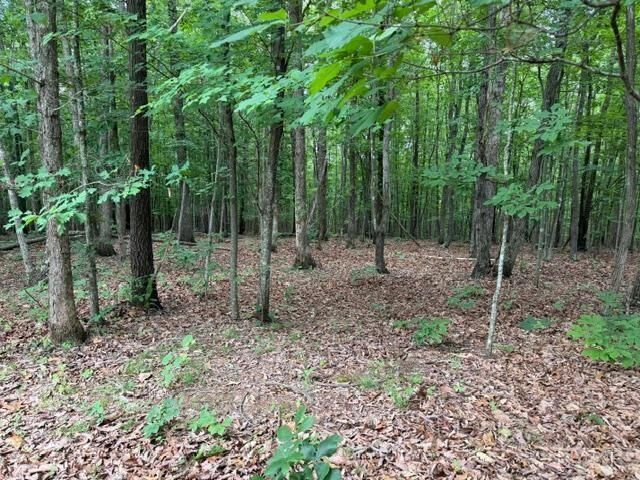 Property Photo:  3 Red Bird Drive  VA 24553 