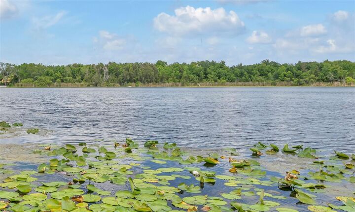 Property Photo: 1841 Lake Spier Drive FL 32789