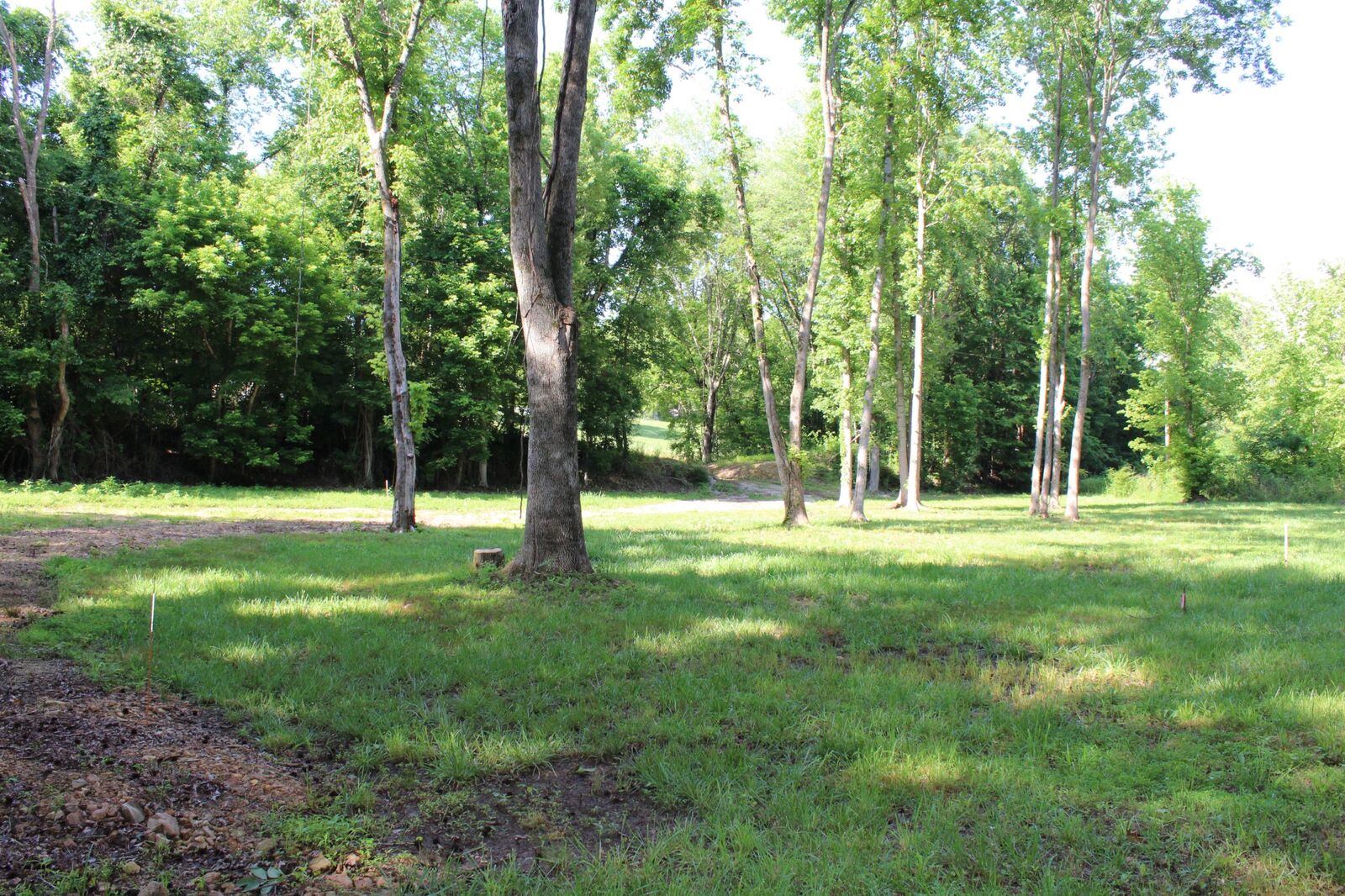 Property Photo: 9681 Hwy 147 TN 37175