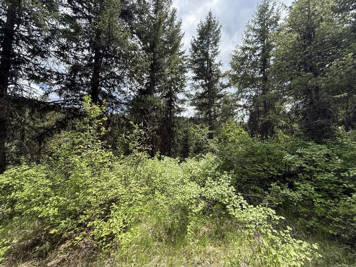 Property Photo:  Tbd Slippery Hill Rd  WA 99166 