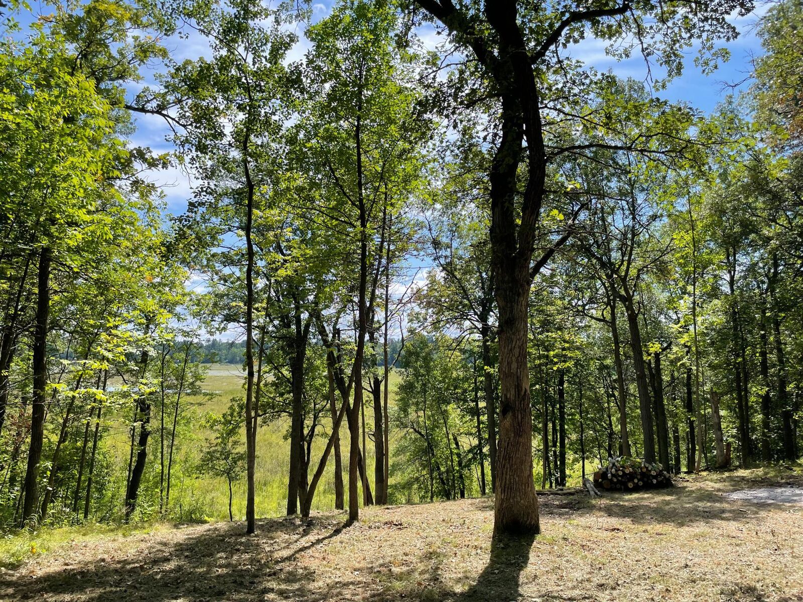 Property Photo:  Tbd Wedgewood Road NW  MN 56484 