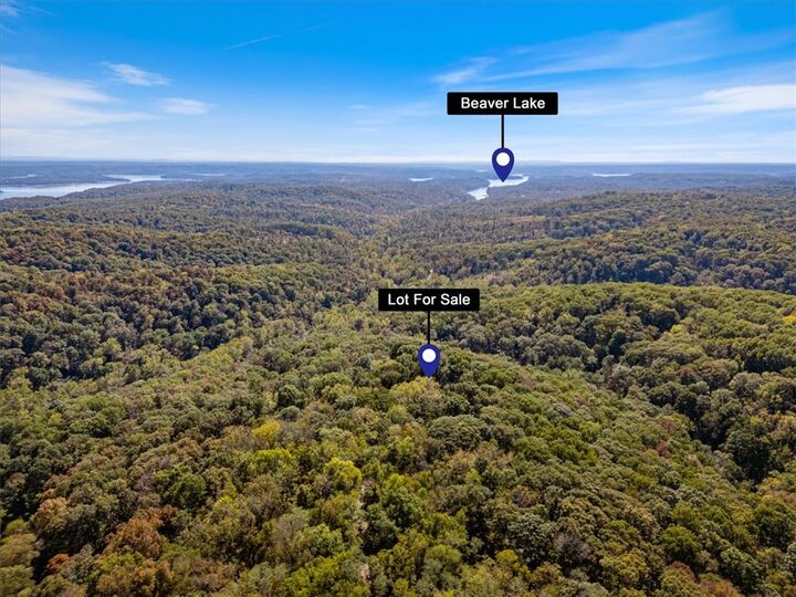 Property Photo:  Lot 262 Aster Drive  AR 72756 
