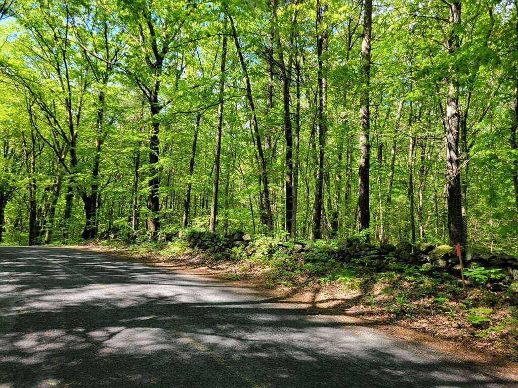 Property Photo:  Lot 8 Daniels Rd  MA 01507 