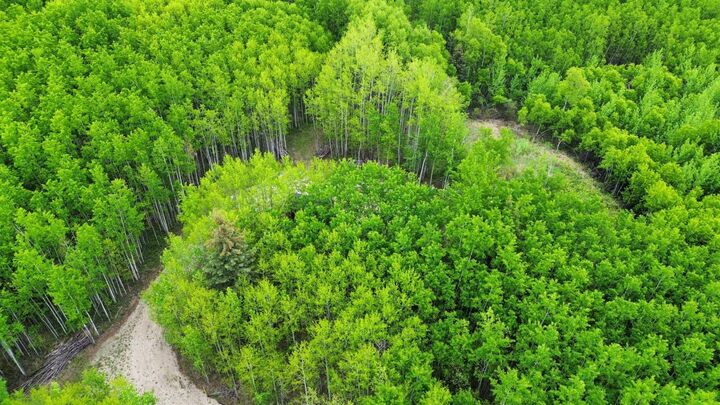 Property Photo:  On Range Road 64 Pt NW-28-74-6-W6 Range  AB T0H 3C0 