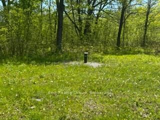Property Photo:  6409 Stirling Marmora Road  ON K0K 2M0 