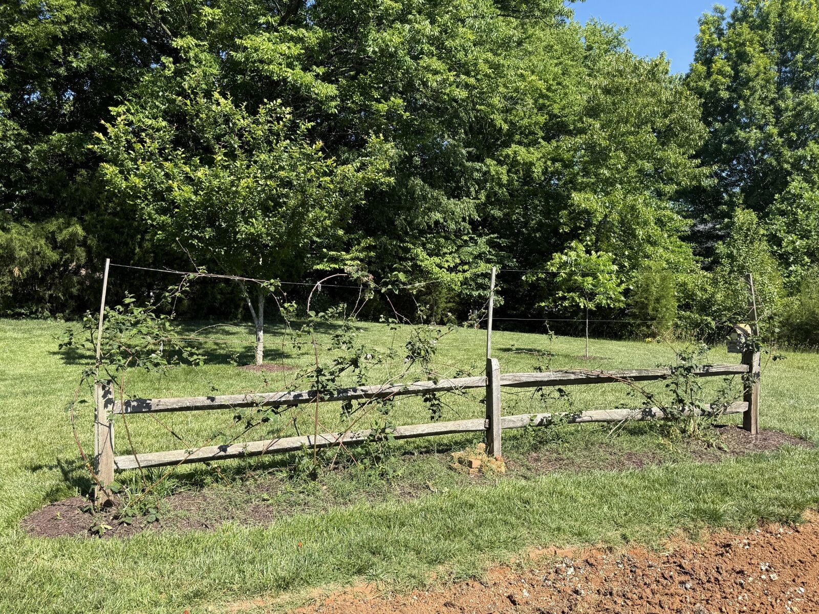 Property Photo:  728 Winding Bluff Way  TN 37040 