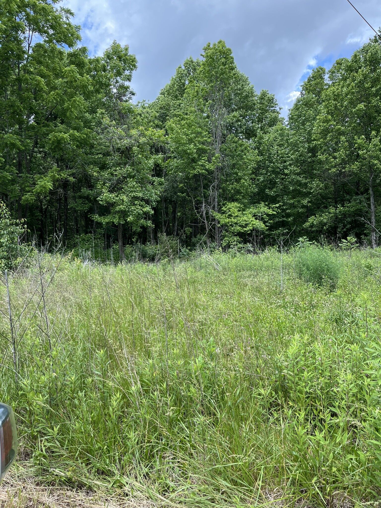 Property Photo: 349 Fire Tower Rd TN 37387