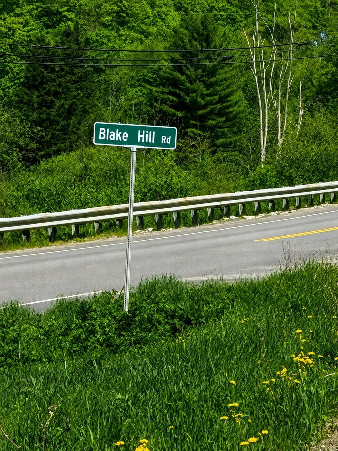 Property Photo:  0 Blake Hill Road  VT 05681 