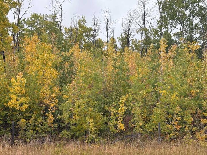 Property Photo: 12 Foot Davis Road AB T0H 2E0