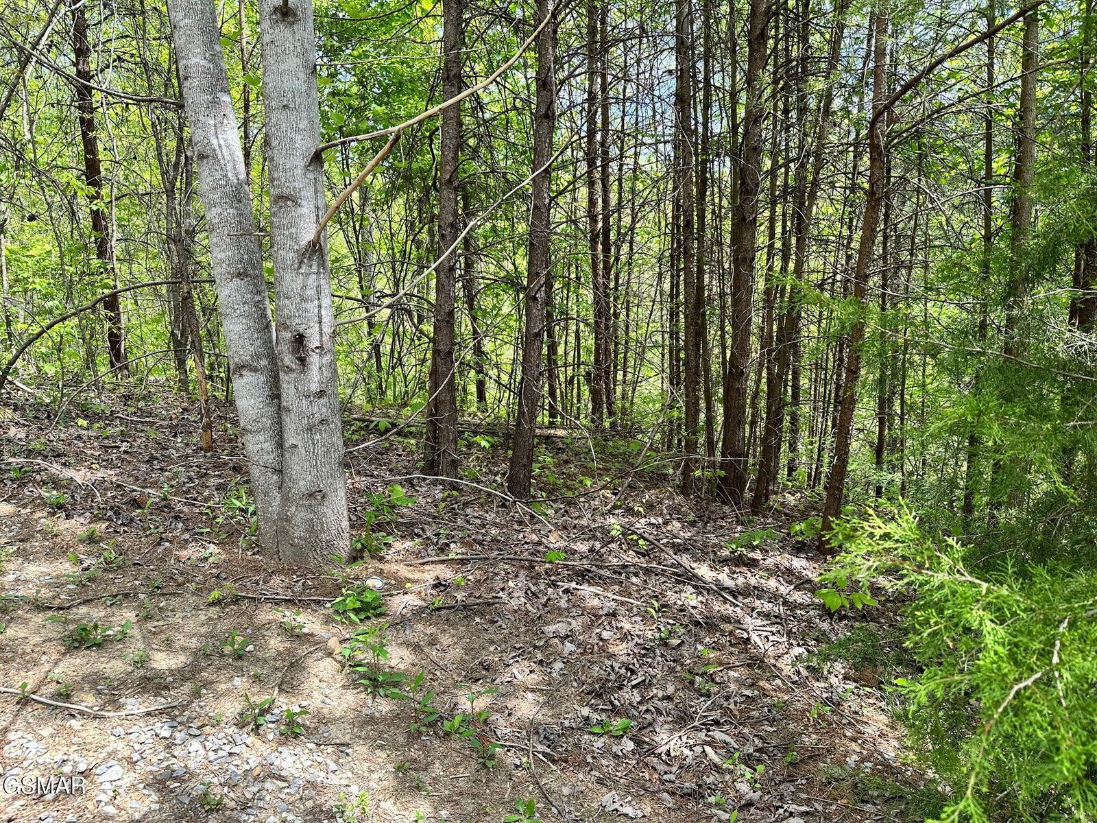 Property Photo:  1430 Mountain Dreams Way  TN 37862 