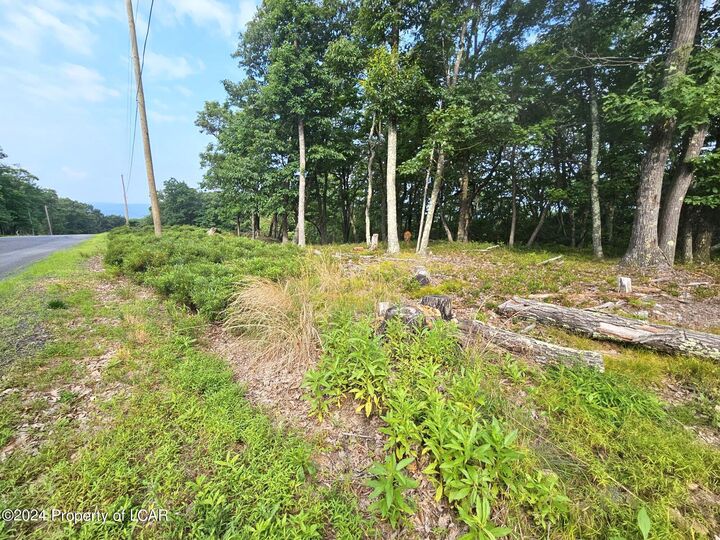 Property Photo: Nr Lot 207 Little Bear Lane PA 18202