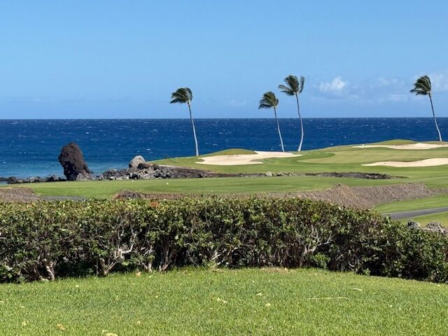 Property Photo:  68-1050 Mauna Lani Point Dr D101  HI 96743 