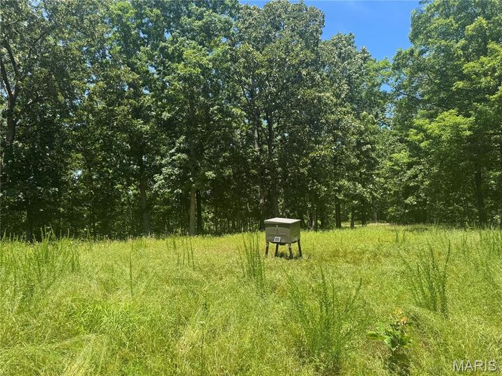 Property Photo: N/A S Klein Road MO 65449