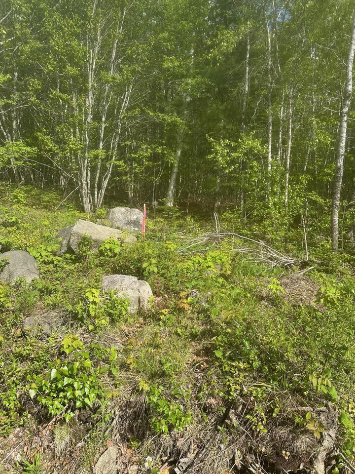 Property Photo: Lot 4 Unionville Road ME 04680