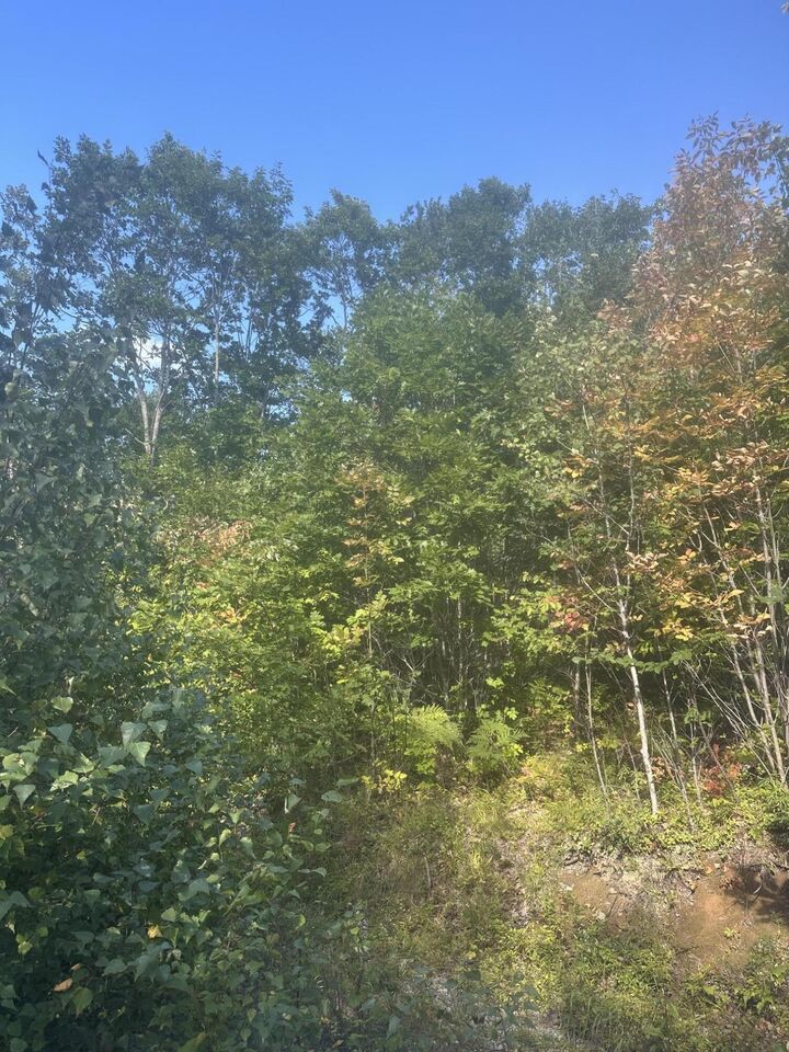 Property Photo: Lot 4 Unionville Road ME 04680