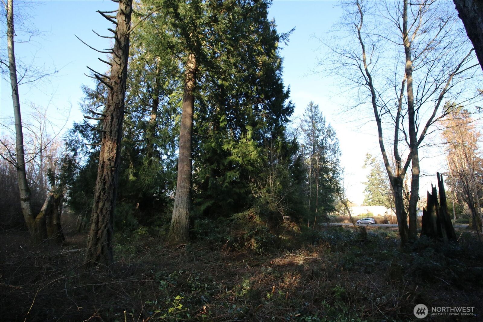 Property Photo: 0 91st Ave SW WA 98070