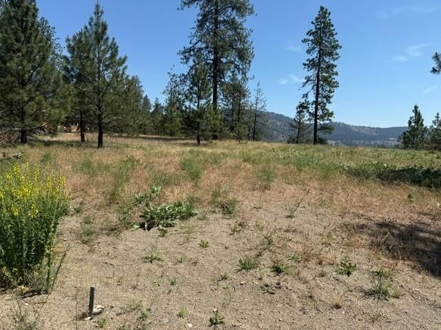 Property Photo: Lot 1 Long Lake Estates Est WA 99026