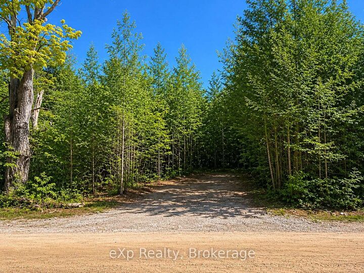 Property Photo:  Pt Lt 12 Concession 14 N/A  ON N0G 1L0 