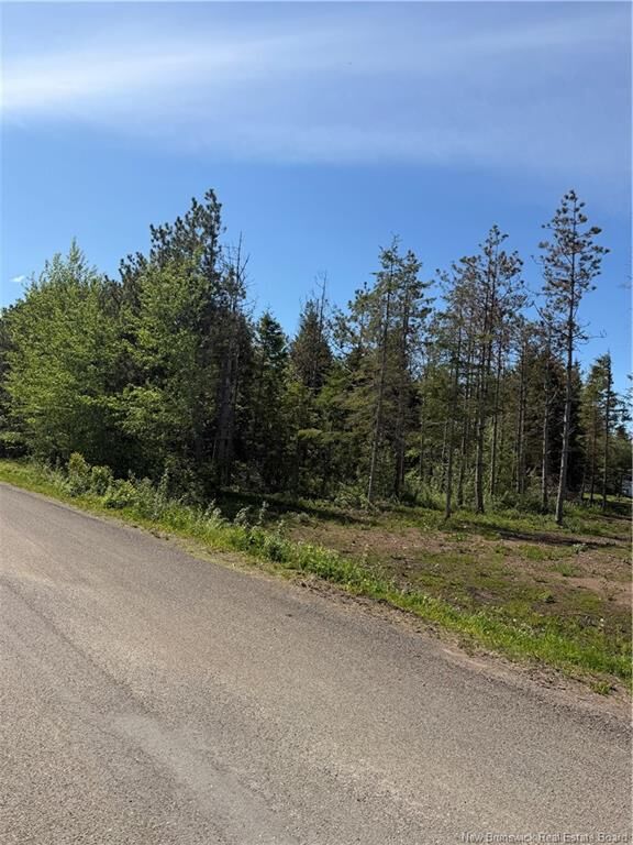 Property Photo:  Lot Cody Road  NB E1G 3X1 