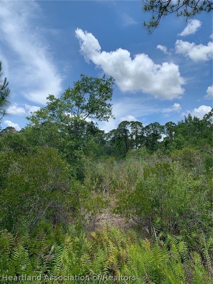 Property Photo:  1220 Breneman Street  FL 33852 