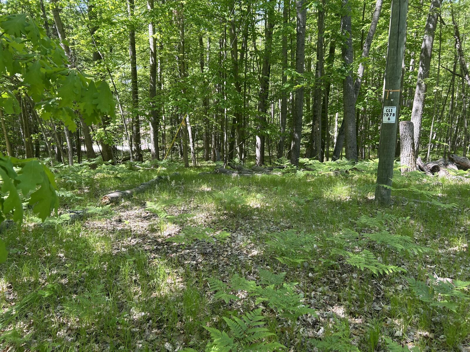 Property Photo:  8297 Highland Trail  MI 49346 