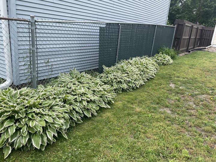 Property Photo: 2107 Center Court IA 52732