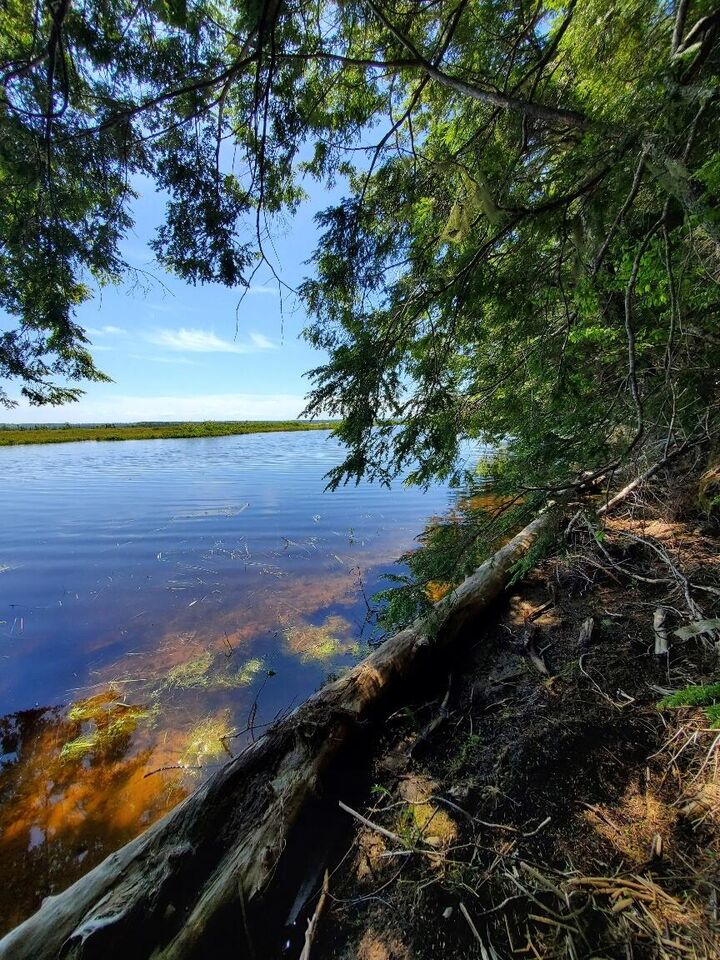 Property Photo:  Lot 7 Heath Road  ME 04605 