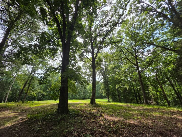 Property Photo: 0 Baggett Hollow TN 37052