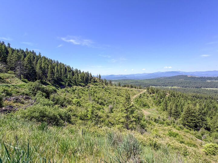 Property Photo:  352X Greene Rd  WA 99181 