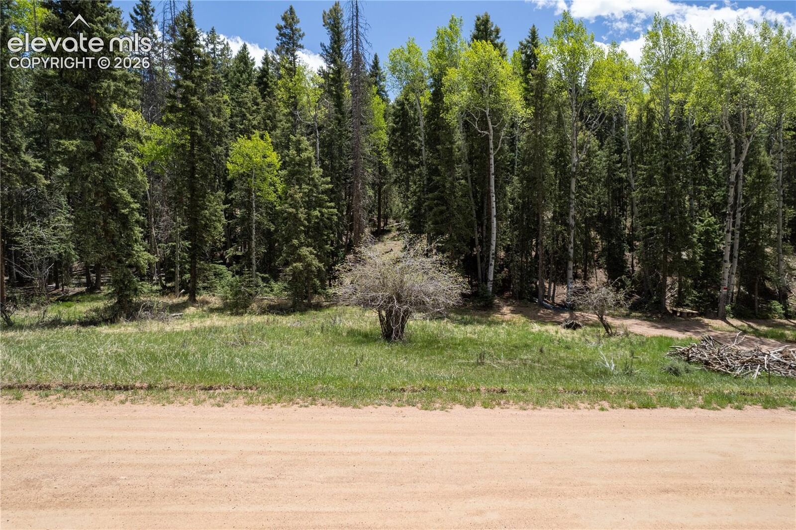 Property Photo:  546 Spring Valley Lane  CO 80816 