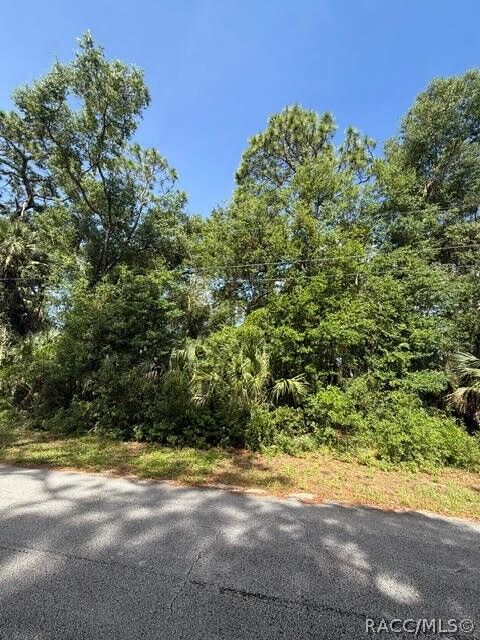 Property Photo:  444 N Hourglass Terrace  FL 34429 