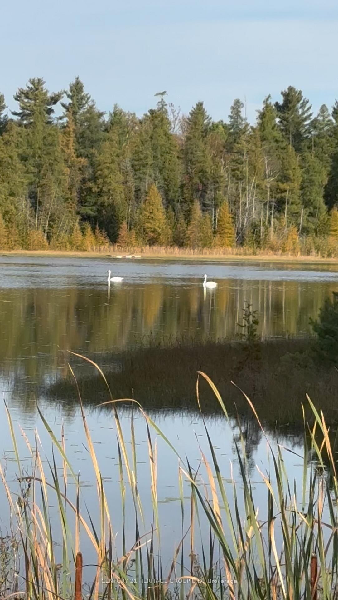 Property Photo:  580223 Sideroad 60 N/A  ON N0H 1C0 