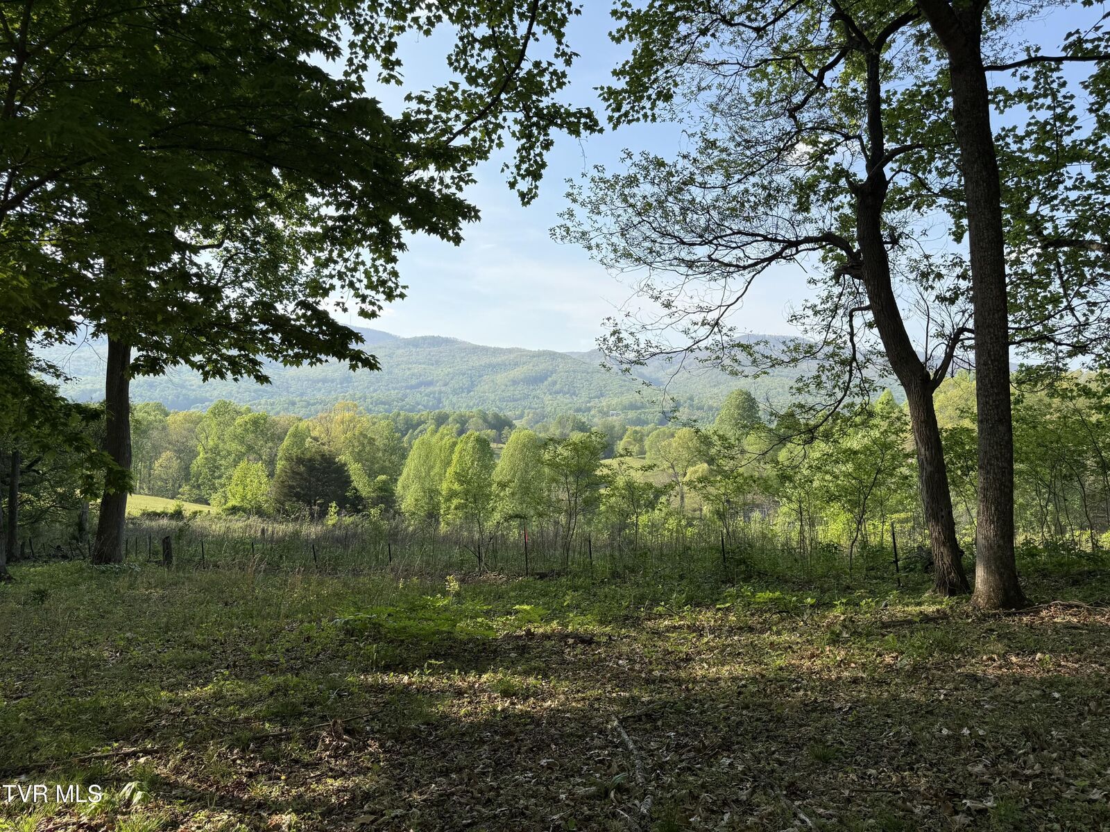 Property Photo:  Tbd Bobs Hollow Road Lot 4  TN 37643 