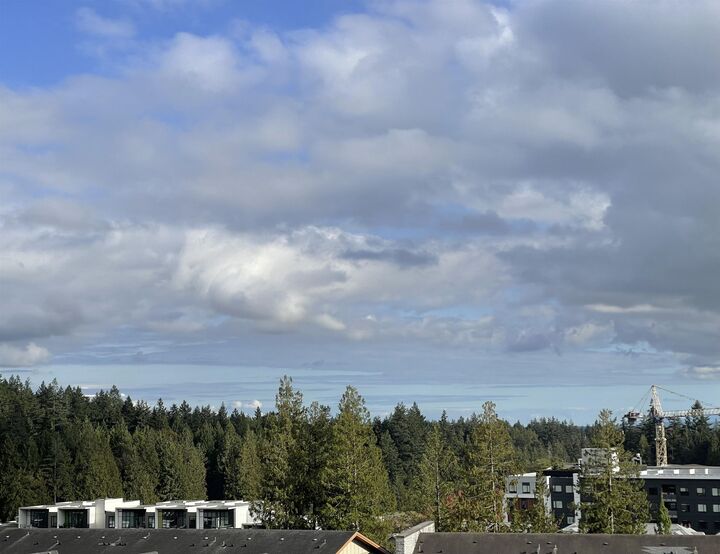 5838 Berton Avenue 801 — photo 1